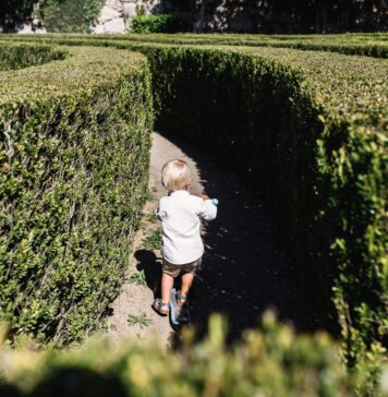 Park Brochowski – najstarszy park we Wrocławiu