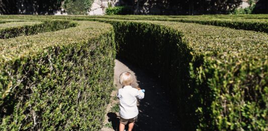 Park Brochowski – najstarszy park we Wrocławiu