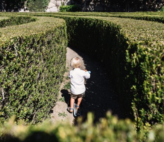 Park Brochowski – najstarszy park we Wrocławiu