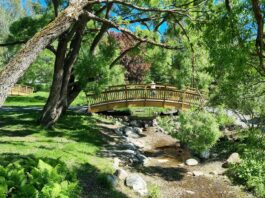 8 przepięknych Ogrodów Botanicznych we Wrocławiu i okolicach, które warto odwiedzić!