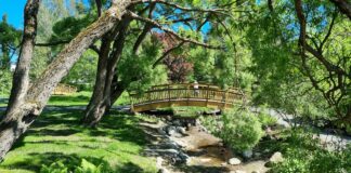 8 przepięknych Ogrodów Botanicznych we Wrocławiu i okolicach, które warto odwiedzić!