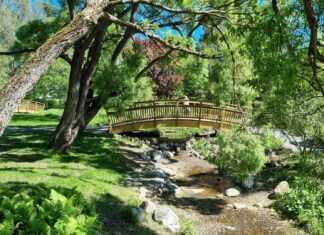 8 przepięknych Ogrodów Botanicznych we Wrocławiu i okolicach, które warto odwiedzić!