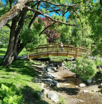 8 przepięknych Ogrodów Botanicznych we Wrocławiu i okolicach, które warto odwiedzić!