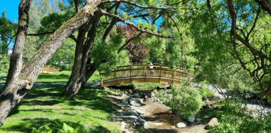 8 przepięknych Ogrodów Botanicznych we Wrocławiu i okolicach, które warto odwiedzić!