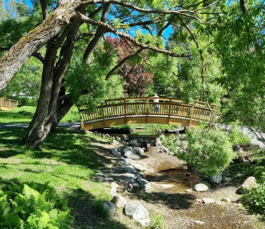 8 przepięknych Ogrodów Botanicznych we Wrocławiu i okolicach, które warto odwiedzić!