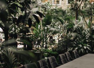 7 pięknych kawiarni i restauracji we Wrocławiu, które są pełne kwiatów i zieleni!