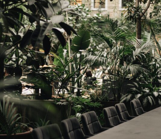 7 pięknych kawiarni i restauracji we Wrocławiu, które są pełne kwiatów i zieleni!