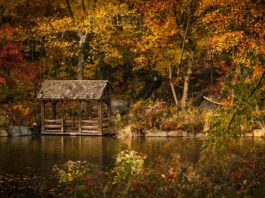 5 pomysłów na jesienny wypad w stylu „slow” za Wrocław