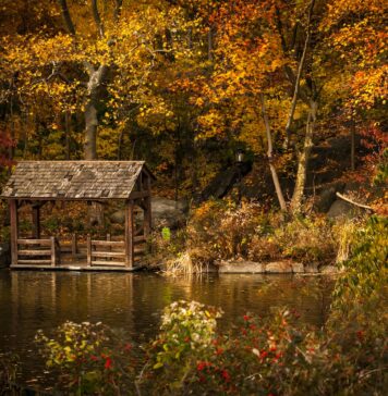 5 pomysłów na jesienny wypad w stylu „slow” za Wrocław