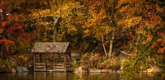 5 pomysłów na jesienny wypad w stylu „slow” za Wrocław