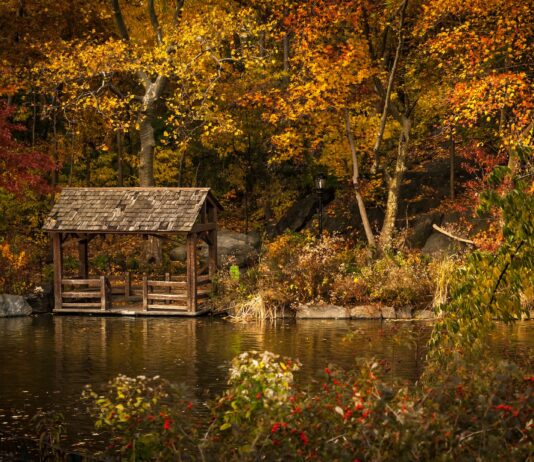 5 pomysłów na jesienny wypad w stylu „slow” za Wrocław