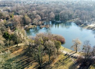 Wrocław zapowiada kolejnych 15 wielkich zielonych inwestycji