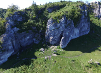 Niezwykłe odkrycie wrocławskich naukowców! Ile lat miał nasz praprzodek?