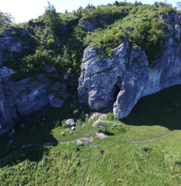 Niezwykłe odkrycie wrocławskich naukowców! Ile lat miał nasz praprzodek?