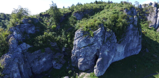Niezwykłe odkrycie wrocławskich naukowców! Ile lat miał nasz praprzodek?