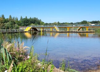Wrocławskie baseny i kąpieliska szykują się do sezonu. 3 z nich będą bezpłatne. Kiedy otwarcie?