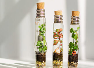 Las w żarówce? Na tych warsztatach stworzysz wiosenną kompozycję w mikro skali