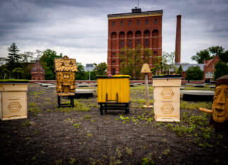 Pasieka Dziadka Tolka – nowa wystawa o fascynującym świecie pszczół w Hydropolis