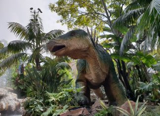 We Wrocławiu powstaje Park Dinozaurów. Otwarcie już 1 maja!