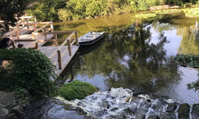 Na zdjęciu ogród botaniczny