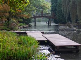 Tu odpoczniesz w trakcie upałów. 8 miejsc na gorące dni we Wrocławiu