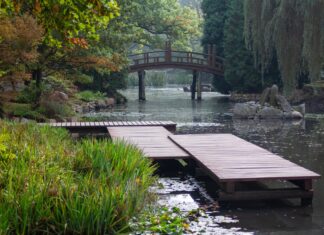 Tu odpoczniesz w trakcie upałów. 8 miejsc na gorące dni we Wrocławiu