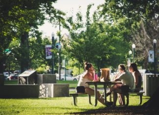 Nowe parki kieszonkowe we Wrocławiu – gdzie powstaną?