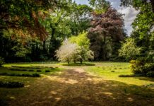 Wrocław: Park Złotnicki – historia na wyciągnięcie ręki
