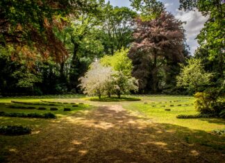 Wrocław: Park Złotnicki – historia na wyciągnięcie ręki