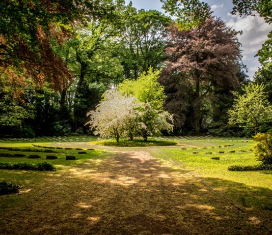 Wrocław: Park Złotnicki – historia na wyciągnięcie ręki