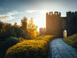 5 pomysłów na weekend z dziećmi na Dolnym Śląsku Na zdjęciu zamek w blasku śłońca /Pexels