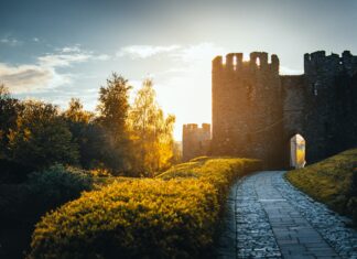 5 pomysłów na weekend z dziećmi na Dolnym Śląsku Na zdjęciu zamek w blasku śłońca /Pexels