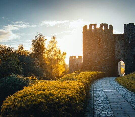 5 pomysłów na weekend z dziećmi na Dolnym Śląsku Na zdjęciu zamek w blasku śłońca /Pexels