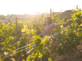 Winnice na Dolnym Śląsku. 8 wyjątkowych miejsc, w których napijesz się regionalnego wina!