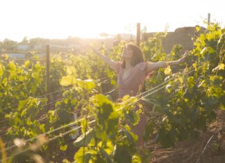 Winnice na Dolnym Śląsku. 8 wyjątkowych miejsc, w których napijesz się regionalnego wina!