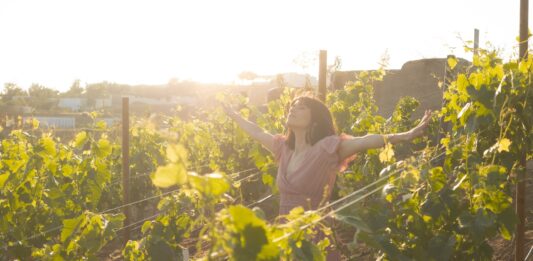 Winnice na Dolnym Śląsku. 8 wyjątkowych miejsc, w których napijesz się regionalnego wina!