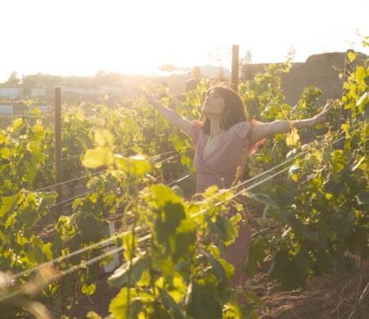 Winnice na Dolnym Śląsku. 8 wyjątkowych miejsc, w których napijesz się regionalnego wina!
