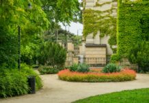 Co kwitnie na Dolnym Śląsku? Sprawdź najważniejsze miejsca