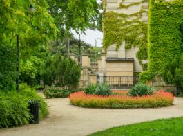Co kwitnie na Dolnym Śląsku? Sprawdź najważniejsze miejsca