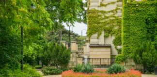 Co kwitnie na Dolnym Śląsku? Sprawdź najważniejsze miejsca