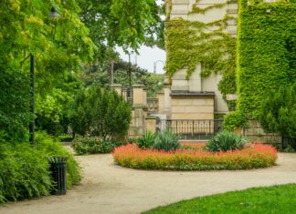 Co kwitnie na Dolnym Śląsku? Sprawdź najważniejsze miejsca