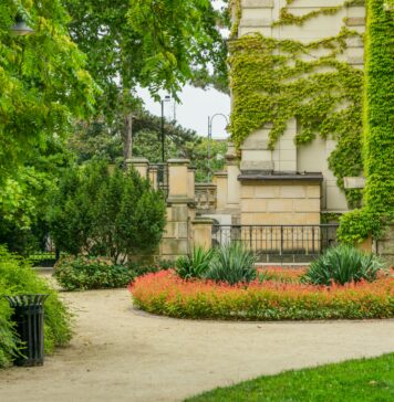 Co kwitnie na Dolnym Śląsku? Sprawdź najważniejsze miejsca