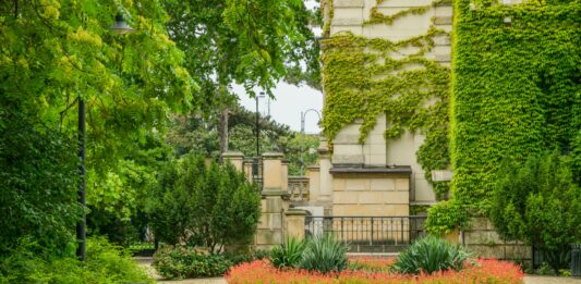 Co kwitnie na Dolnym Śląsku? Sprawdź najważniejsze miejsca