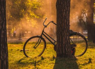 Wrocław: 5 najciekawszych tras rowerowych na wiosenną przejażdżkę