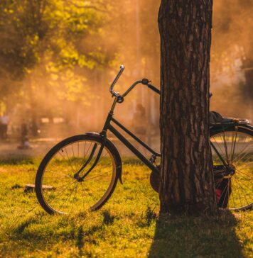 Wrocław: 5 najciekawszych tras rowerowych na wiosenną przejażdżkę