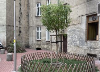 Wrocław: Program Nasze Podwórko za złotówkę. Można wziąć 100 tys. zł i sprawy w swoje ręce!