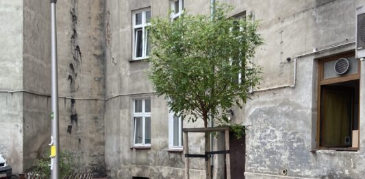 Wrocław: Program Nasze Podwórko za złotówkę. Można wziąć 100 tys. zł i sprawy w swoje ręce!