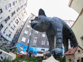 Co zobaczyć we Wrocławiu – 7 nietypowych miejsc we Wrocławiu, których nie zobaczysz nigdzie indziej!