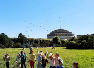 Półkolonie we Wrocławiu – szeroka oferta wakacyjnych zajęć dla najmłodszych