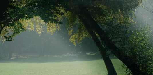 Park Kleciński – centrum dziecięcej zabawy we Wrocławiu